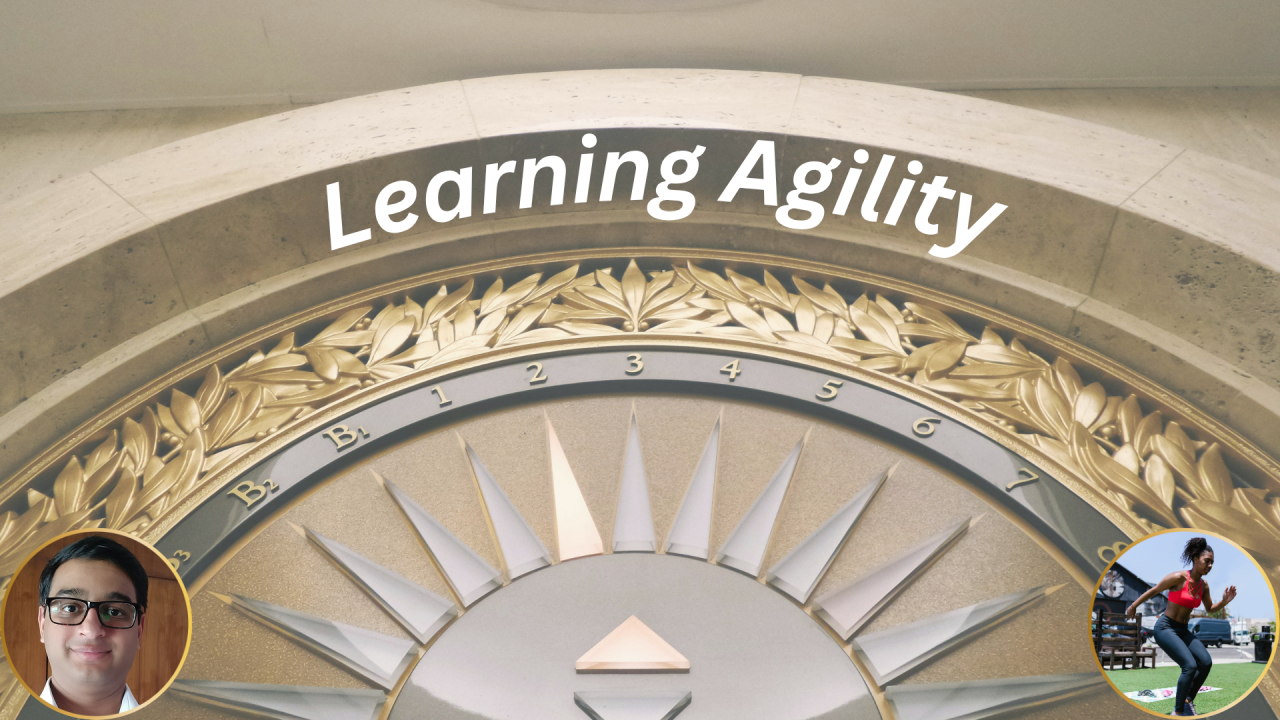 Learning Agility
